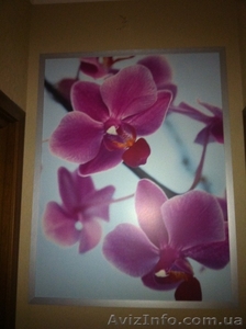 Картина Розовые орхидеи - <ro>Изображение</ro><ru>Изображение</ru> #1, <ru>Объявление</ru> #826029