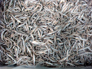 Продажа Рыбных сушеных снеков - <ro>Изображение</ro><ru>Изображение</ru> #2, <ru>Объявление</ru> #821176