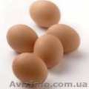 Продам яйцо куриное домашнее - <ro>Изображение</ro><ru>Изображение</ru> #1, <ru>Объявление</ru> #900660