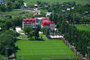 Сетки рулонные,  сварные и плетёные для любой территории. 