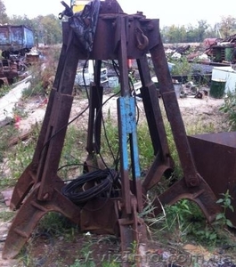 Куплю грейфер многочелюстной,  многолепестковый,  полип