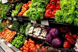 Поможем продать ваши овощи через ведущие сети Украины - <ro>Изображение</ro><ru>Изображение</ru> #1, <ru>Объявление</ru> #929260