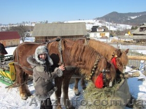 Новогодние тури в Карпатах - <ro>Изображение</ro><ru>Изображение</ru> #4, <ru>Объявление</ru> #965138