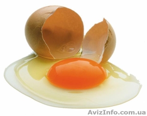 Продам яйцо куриное оптом и в розницу - <ro>Изображение</ro><ru>Изображение</ru> #1, <ru>Объявление</ru> #1000355