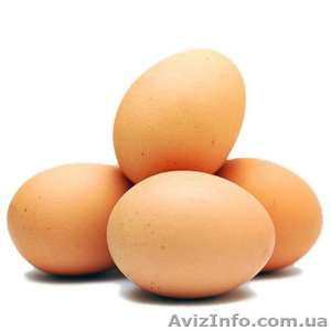 Продам яйцо куриное оптом и в розницу - <ro>Изображение</ro><ru>Изображение</ru> #2, <ru>Объявление</ru> #1000355