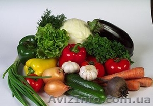 Продам ранние овощи - свекла, морковь, лук от производителя в Одесской обл. - <ro>Изображение</ro><ru>Изображение</ru> #1, <ru>Объявление</ru> #1116367