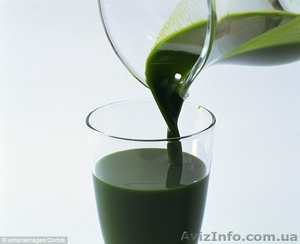 Хлорофилл Жидкий Liquid Chlorophyll NOW Foods  - <ro>Изображение</ro><ru>Изображение</ru> #2, <ru>Объявление</ru> #1141499