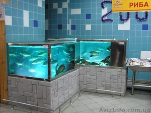 Обслуживание торговых аквариумов - <ro>Изображение</ro><ru>Изображение</ru> #1, <ru>Объявление</ru> #1269910