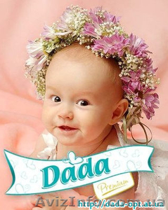 Европейские подгузники Dada,  BabyDream,  Wickies,  Babynappies опт.