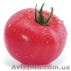 Семена розового томата KASAMORI F1 / КАСАМОРИ F1 фирмы Китано