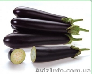 Семена баклажана SAMURAI F1 / САМУРАЙ F1 фирмы Китано