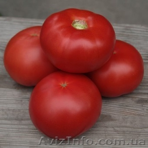 Семена индетерминантного томата Кибо F1 100 семян (Kitano Seeds)