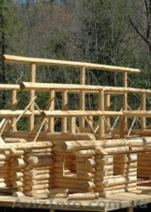 Строительство деревянных срубов - <ro>Изображение</ro><ru>Изображение</ru> #1, <ru>Объявление</ru> #1418450