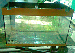 Продается немецкий аквариум на 140 л (стекло) б/у - <ro>Изображение</ro><ru>Изображение</ru> #1, <ru>Объявление</ru> #1465594