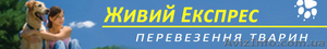 Услуги перевозок животных
