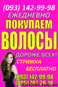 Волосы волосы Одесса Скупка волос в Одессе дороже всех покупаем волосы - <ro>Изображение</ro><ru>Изображение</ru> #1, <ru>Объявление</ru> #1520557