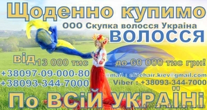 Вигідно купуємо волосся у Львові