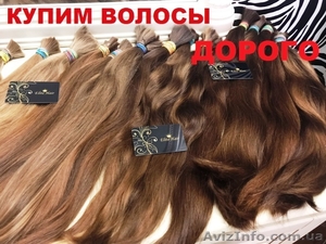 Купим волосы. Скупка волос в салоне  красоты. Вся Украина