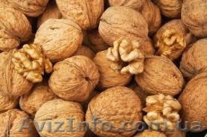 Куплю, продам грецкие орехи 2017-ого года. - <ro>Изображение</ro><ru>Изображение</ru> #1, <ru>Объявление</ru> #1585425