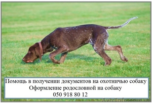 Как оформить собаку для охоты Документы на право охоты с собакой охотничьей поро - <ro>Изображение</ro><ru>Изображение</ru> #1, <ru>Объявление</ru> #1595192