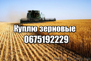 пшеница, соя, рапс, кукуруза, ячмень, подсолнечник - <ro>Изображение</ro><ru>Изображение</ru> #1, <ru>Объявление</ru> #1621600