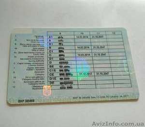   Помощь в оформление водительского удостоверения 