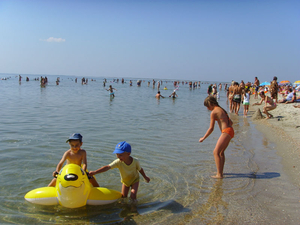 Семейный отдых на Черном море - <ro>Изображение</ro><ru>Изображение</ru> #1, <ru>Объявление</ru> #1655707