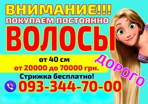 Куплю волосы в Херсоне Дорого Славянские волосы куплю Продать дорого Херсон