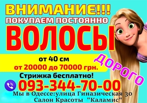 Куплю волосы в Одессе дорого Быстро Расчет на месте - <ro>Изображение</ro><ru>Изображение</ru> #1, <ru>Объявление</ru> #1704634