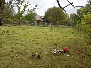 Покос травы, сорняков плюс обработка от клещей. - <ro>Изображение</ro><ru>Изображение</ru> #3, <ru>Объявление</ru> #1734896