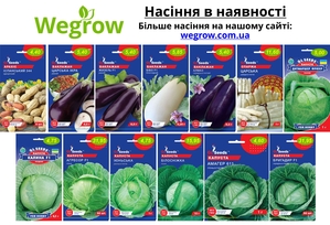 Магазин насіння Wegrow - <ro>Изображение</ro><ru>Изображение</ru> #4, <ru>Объявление</ru> #1735310