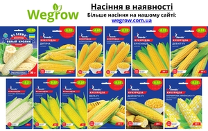 Магазин насіння Wegrow - <ro>Изображение</ro><ru>Изображение</ru> #6, <ru>Объявление</ru> #1735310