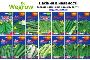 Магазин насіння Wegrow - <ro>Изображение</ro><ru>Изображение</ru> #7, <ru>Объявление</ru> #1735310