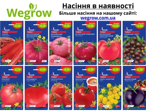 Магазин насіння Wegrow - <ro>Изображение</ro><ru>Изображение</ru> #8, <ru>Объявление</ru> #1735310