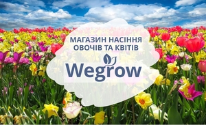 Магазин насіння Wegrow - <ro>Изображение</ro><ru>Изображение</ru> #2, <ru>Объявление</ru> #1735310