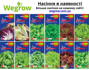 Магазин насіння Wegrow - <ro>Изображение</ro><ru>Изображение</ru> #9, <ru>Объявление</ru> #1735310
