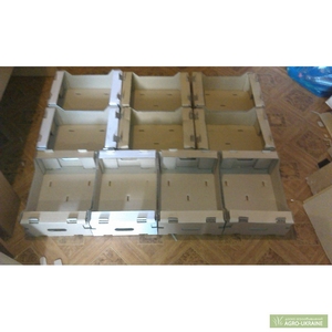 картонный лоток под персик