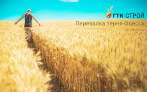 Перевалка зерна Одесса - Изображение #1, Объявление #1739879