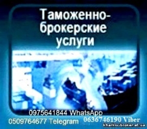 Митний брокер, таможенный брокер, растаможка авто  - <ro>Изображение</ro><ru>Изображение</ru> #1, <ru>Объявление</ru> #1746379