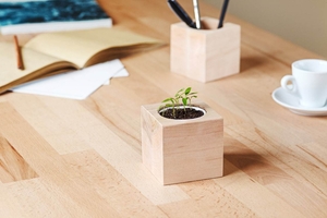 Корпоративні подарунки. Екокубики,  квітучі олівці