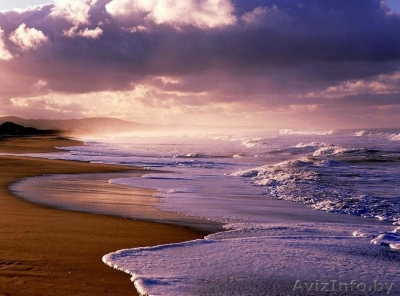 Отдых c  детьми на море.Отель АДАМ И ЕВА.Затока  - <ro>Изображение</ro><ru>Изображение</ru> #9, <ru>Объявление</ru> #712334