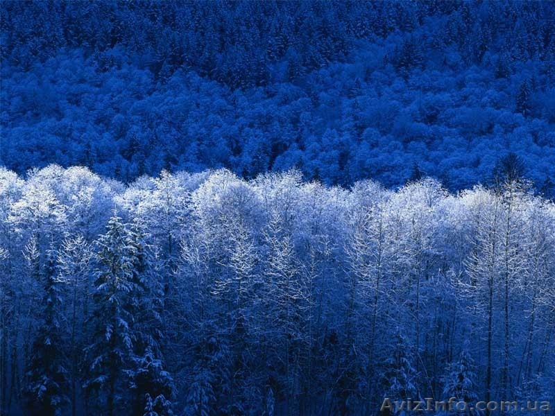 ПРЕДЛАГАЮ МАССАЖ. - <ro>Изображение</ro><ru>Изображение</ru> #3, <ru>Объявление</ru> #11055