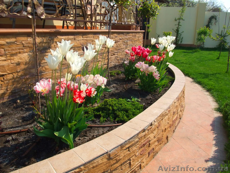 Системы автоматического полива HUNTER. - <ro>Изображение</ro><ru>Изображение</ru> #4, <ru>Объявление</ru> #36396