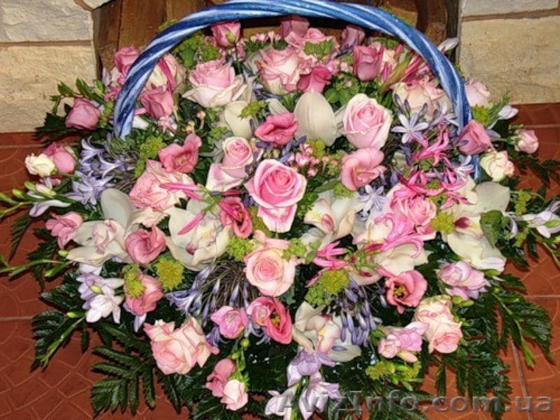 цветы одесса, цветы в одессе, доставка цветов в одессе, доставка цветов одесса - <ro>Изображение</ro><ru>Изображение</ru> #3, <ru>Объявление</ru> #32023
