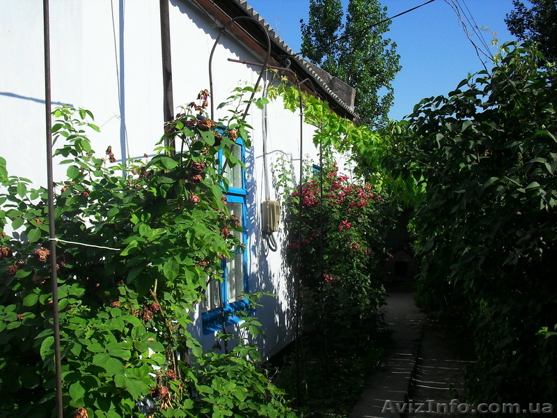 Продам дом, Одесская обл.,г.Килия - <ro>Изображение</ro><ru>Изображение</ru> #2, <ru>Объявление</ru> #44833