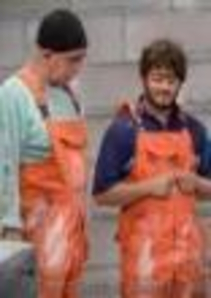 Ремонт квартир. - <ro>Изображение</ro><ru>Изображение</ru> #4, <ru>Объявление</ru> #66352