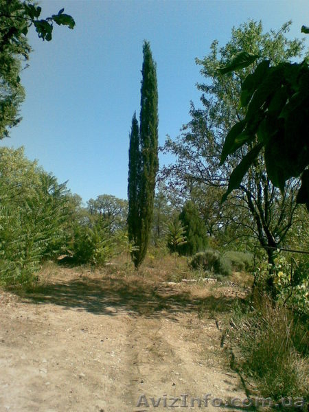 ПРОДАМ СРОЧНО и НЕДОРОГО земельный участок в Большой Ялте,Кастрополь - <ro>Изображение</ro><ru>Изображение</ru> #5, <ru>Объявление</ru> #70047