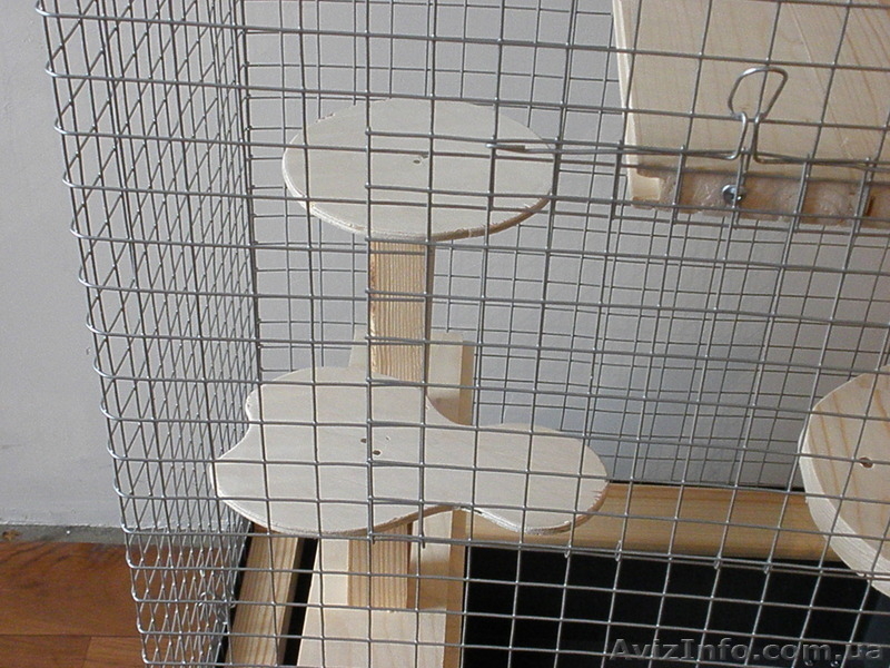 Клетка для шиншилл - <ro>Изображение</ro><ru>Изображение</ru> #4, <ru>Объявление</ru> #80927