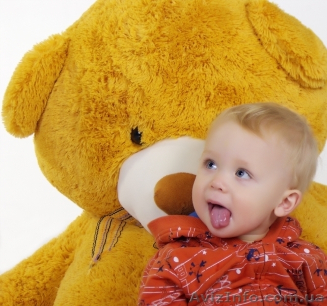 Фотограф. Художественная студийная и свадебная съёмка. - <ro>Изображение</ro><ru>Изображение</ru> #5, <ru>Объявление</ru> #95091