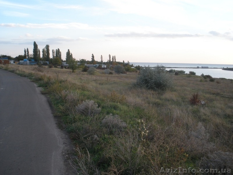 Коблево/Луговое Общая площадь: 3 гектар - <ro>Изображение</ro><ru>Изображение</ru> #3, <ru>Объявление</ru> #106476